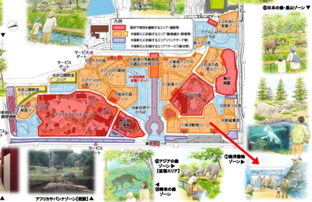 天王寺動物園「ペンギンパーク＆アシカワーフ」2023年4月26日リニューアル・オープン「天王寺動物園101計画」